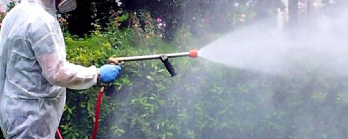 Derattizzazione: Una Necessità Per Abitazioni e Per Il Settore Alimentare