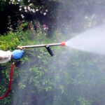 Derattizzazione: Una Necessità Per Abitazioni e Per Il Settore Alimentare